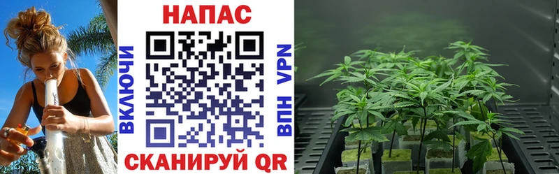 Шишки марихуана конопля  Мензелинск 